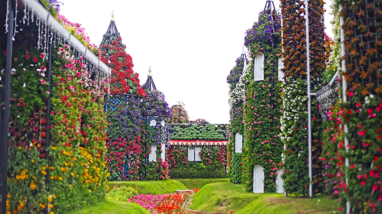 Dubai Miracle Garden Tickets – World’s Largest Flower Garden Experience  photo 4