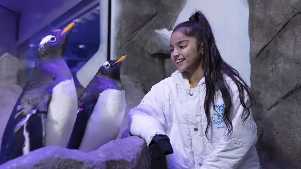 Ski Dubai Tickets featured photo