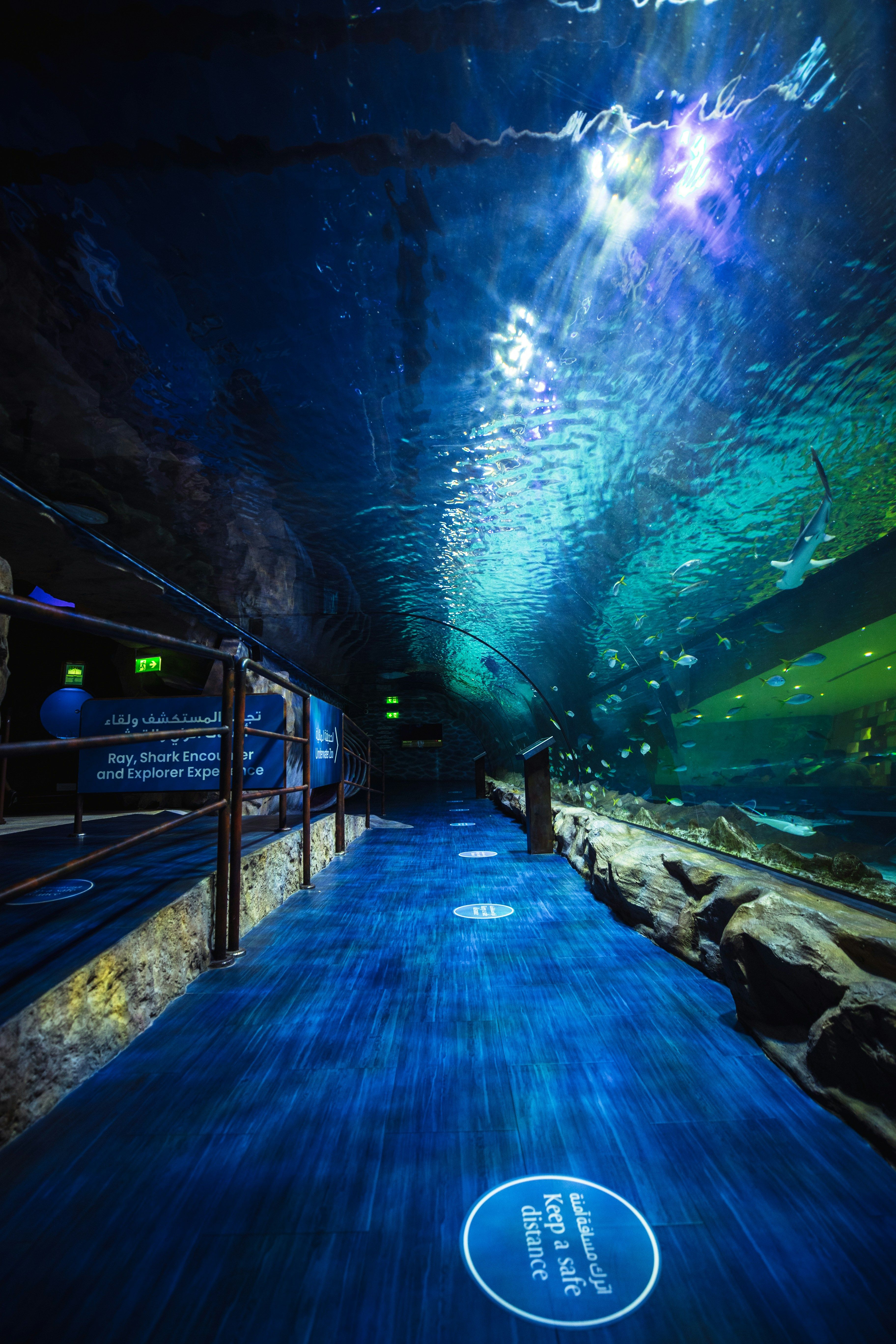 Dubai Aquarium and Underwater Zoo Tickets photo 3