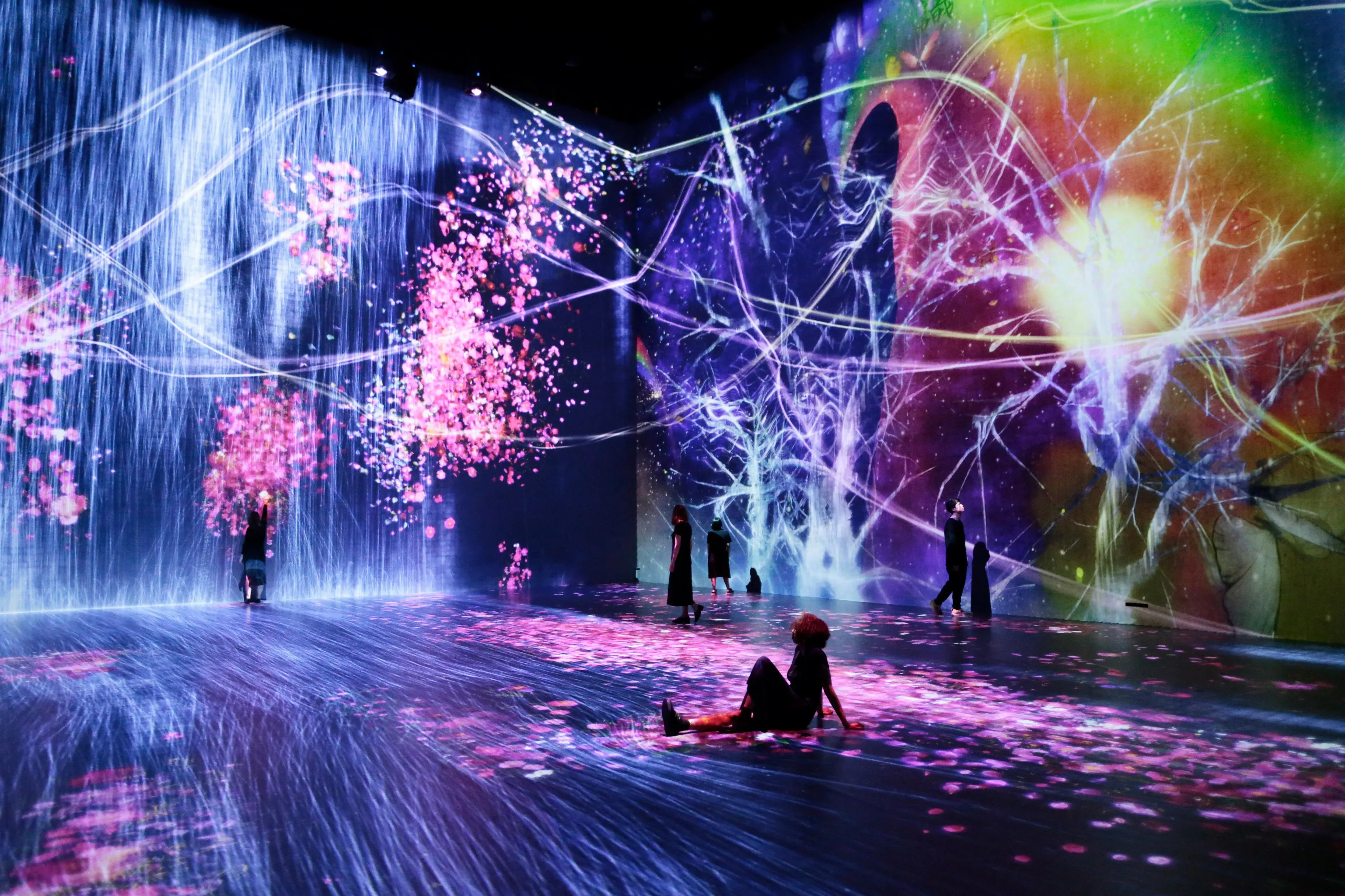 teamLab Phenomena Abu Dhabi Tickets featured photo