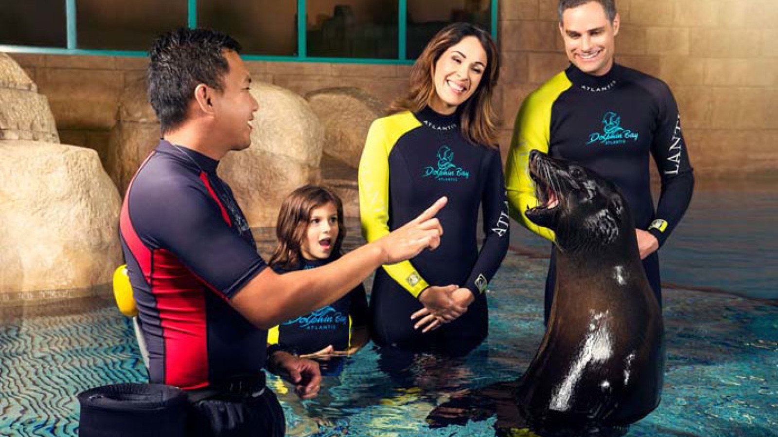 Dolphin Bay at Atlantis the Palm Tickets | Swim with Dolphins