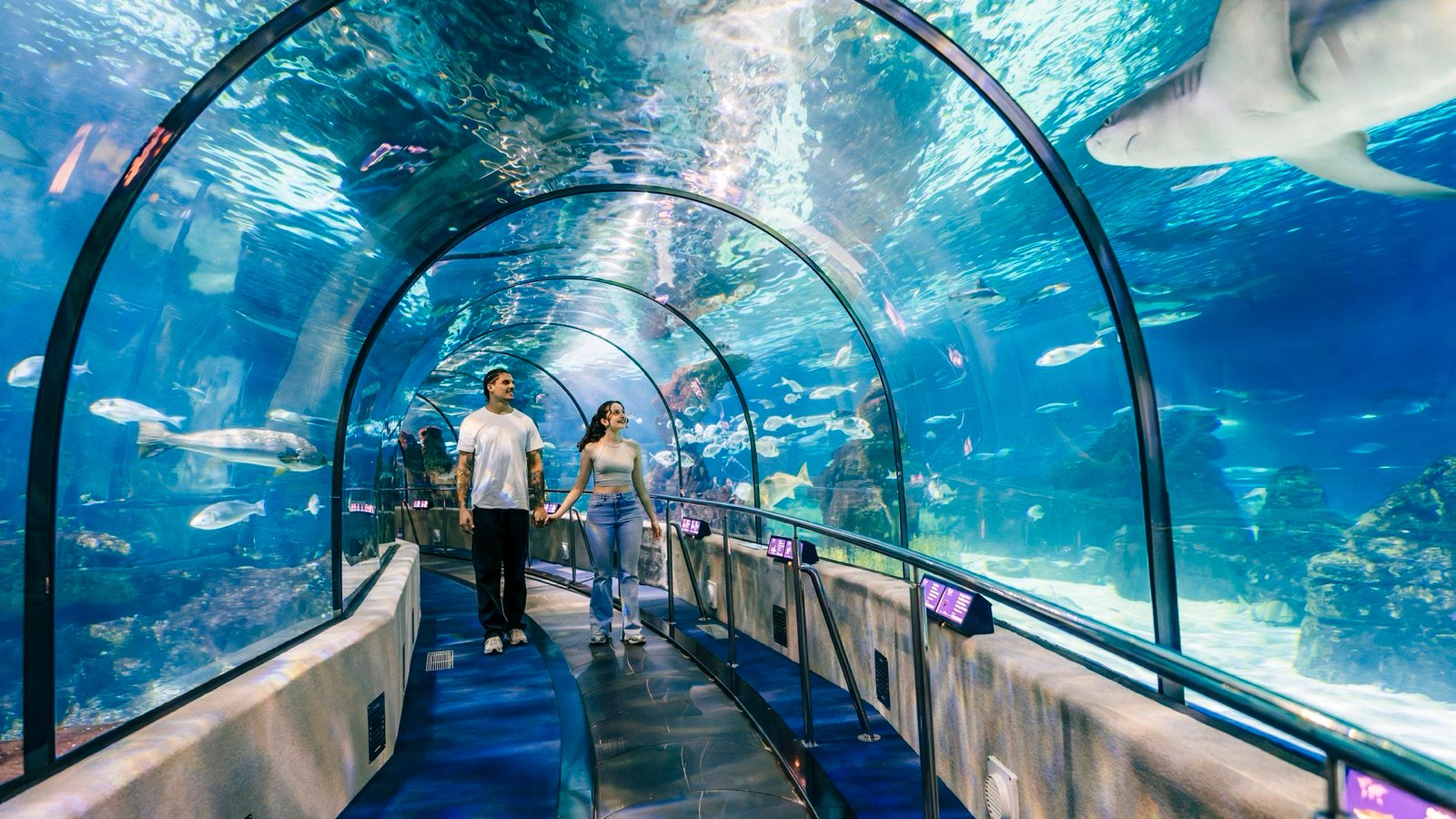 Family exploring the aquarium's interactive exhibits