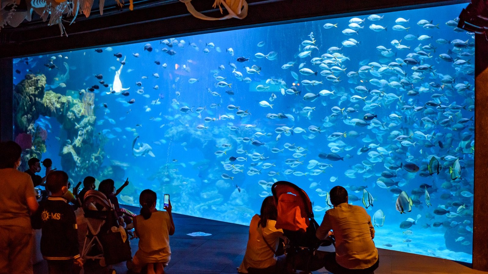Penguin exhibit at Aquaria Phuket