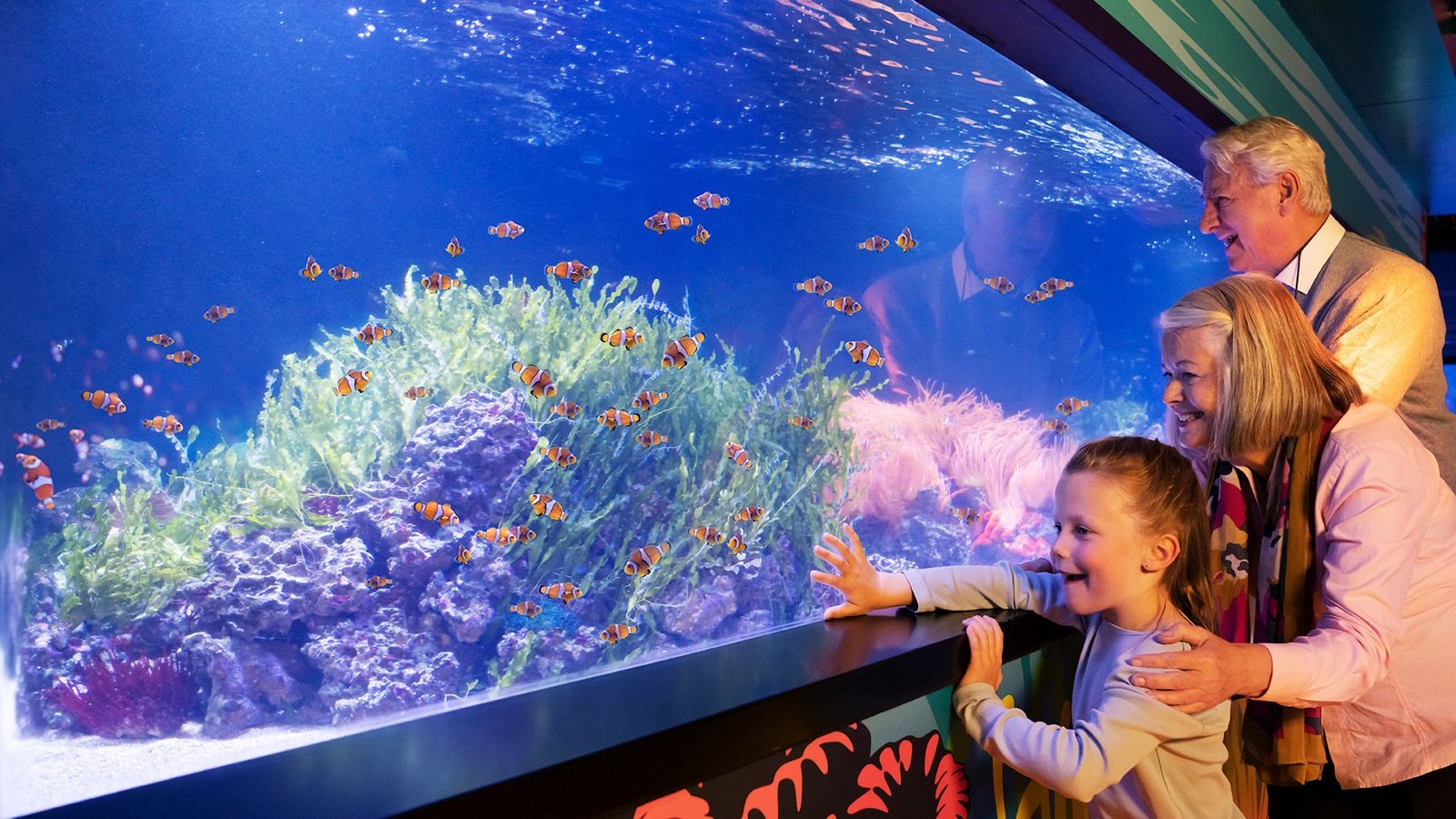 SEA LIFE London Aquarium Tickets | Marine Life & Penguin Encounters