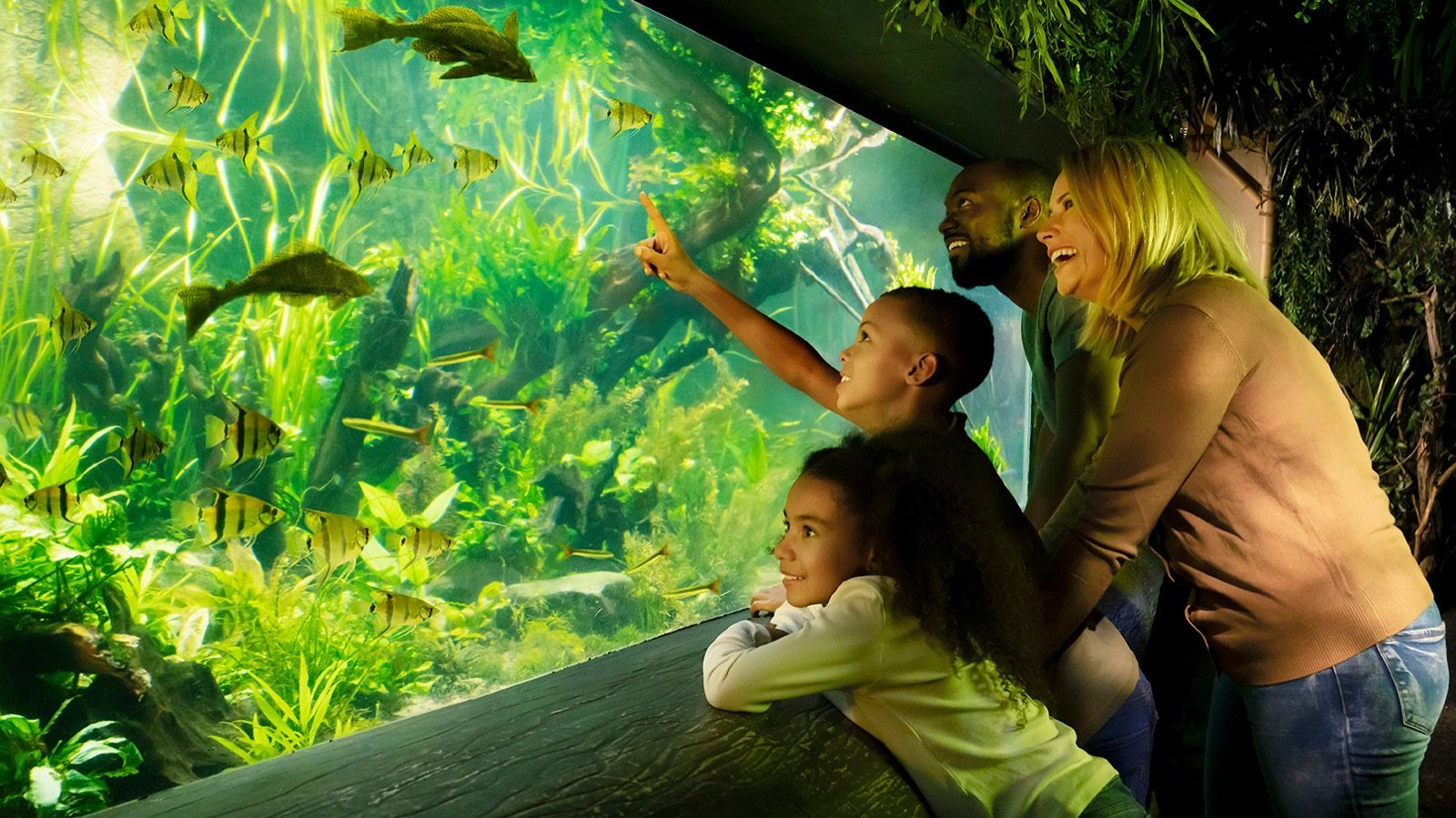 SEA LIFE London Aquarium Ticket photo 5