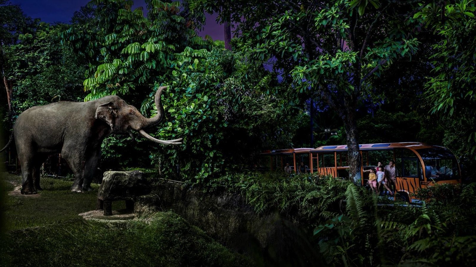 Singapore Night Safari tram ride through rainforest