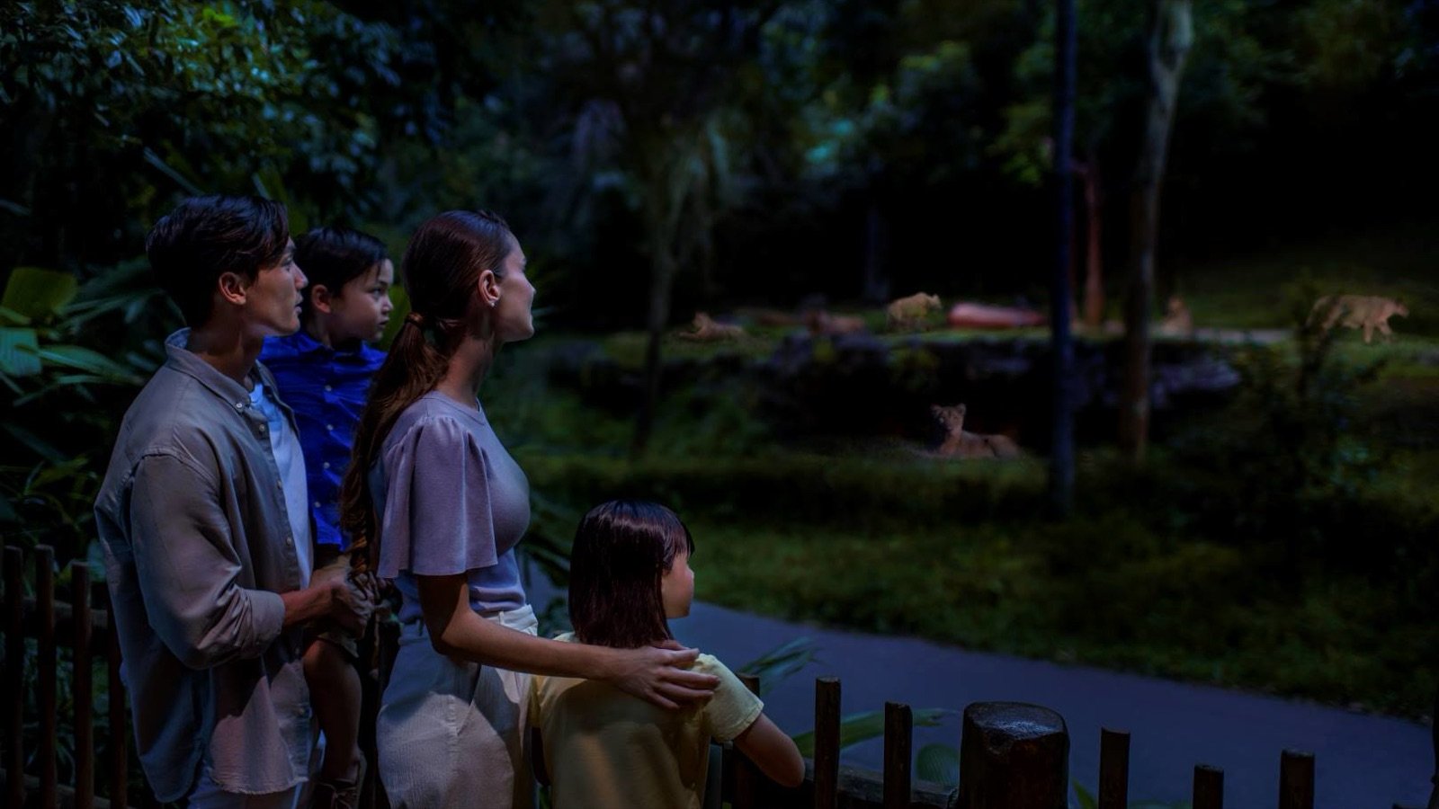 Elephants and tigers at Singapore Night Safari