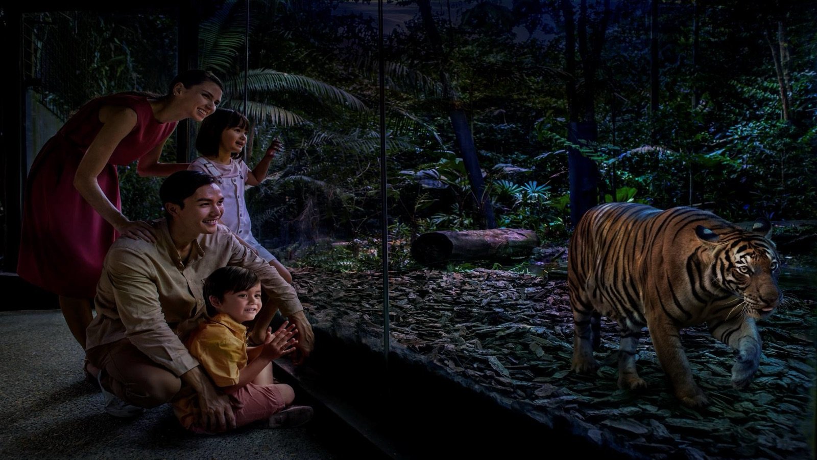 Walking trail at Singapore Night Safari
