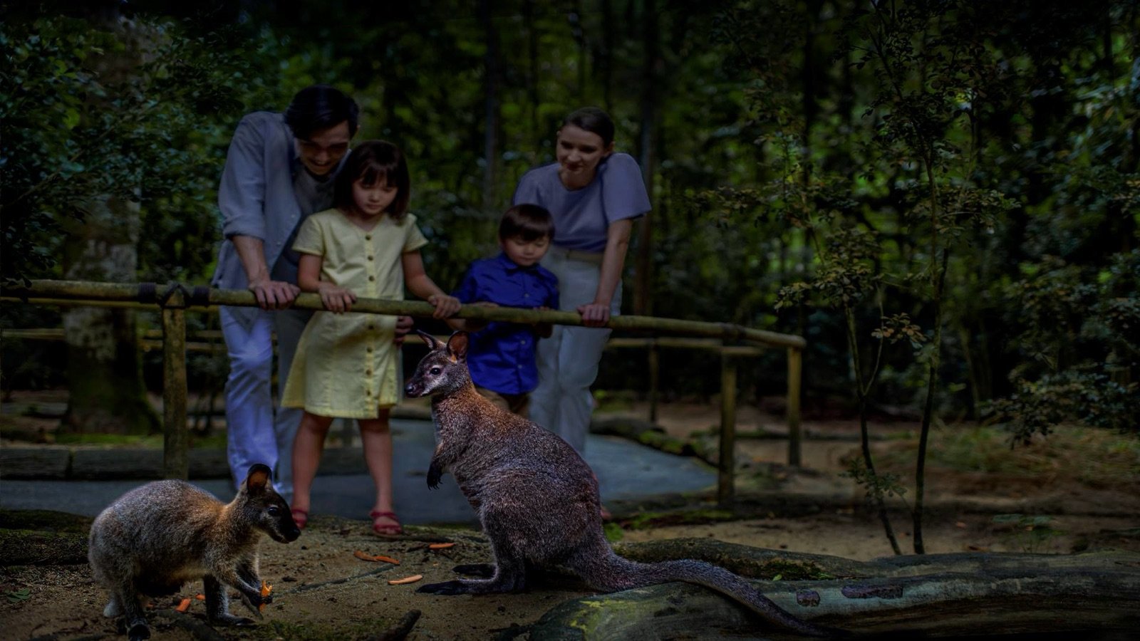 Mandai Gallery at Singapore Night Safari