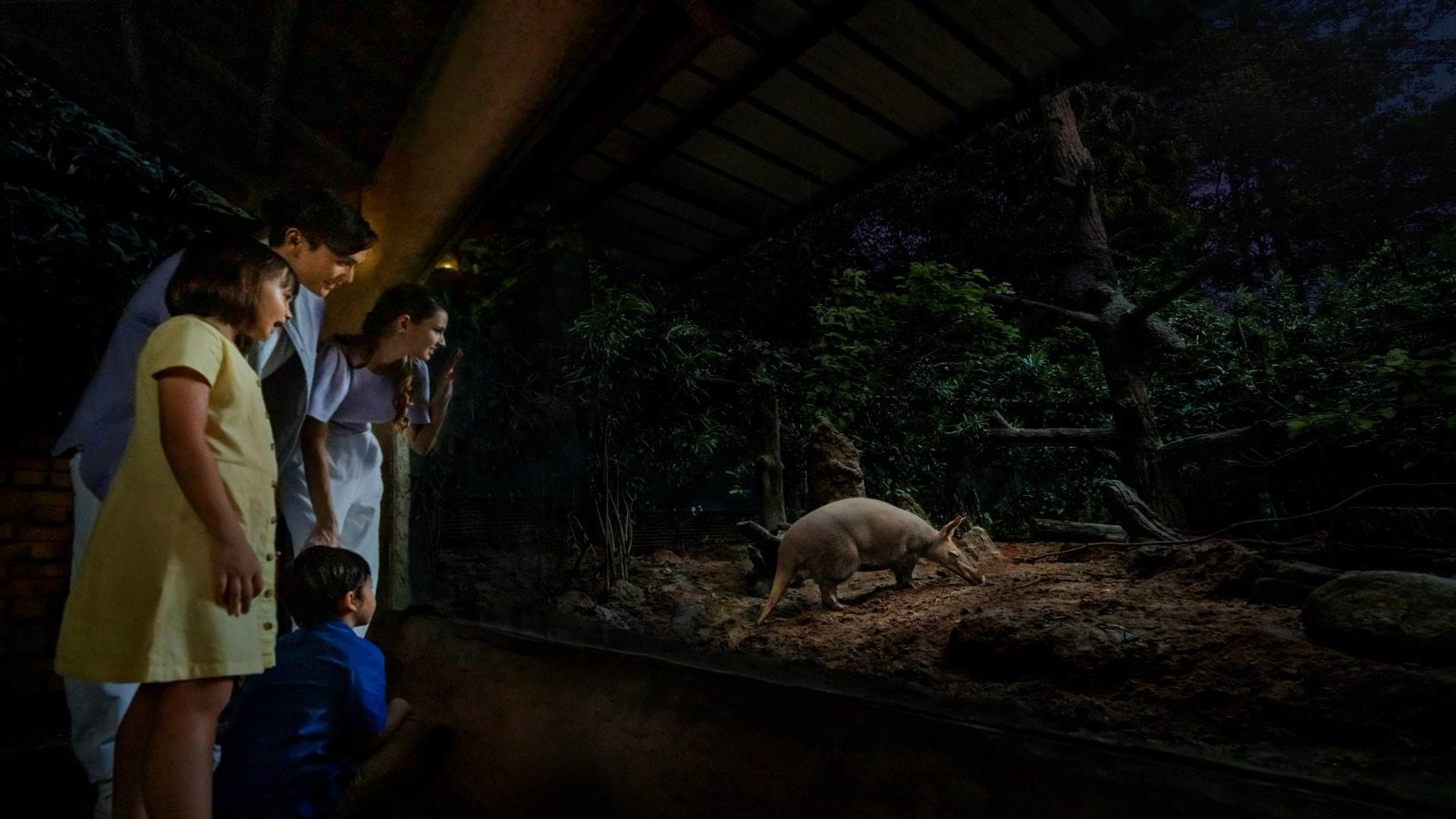 Singapore Night Safari Ticket photo 5