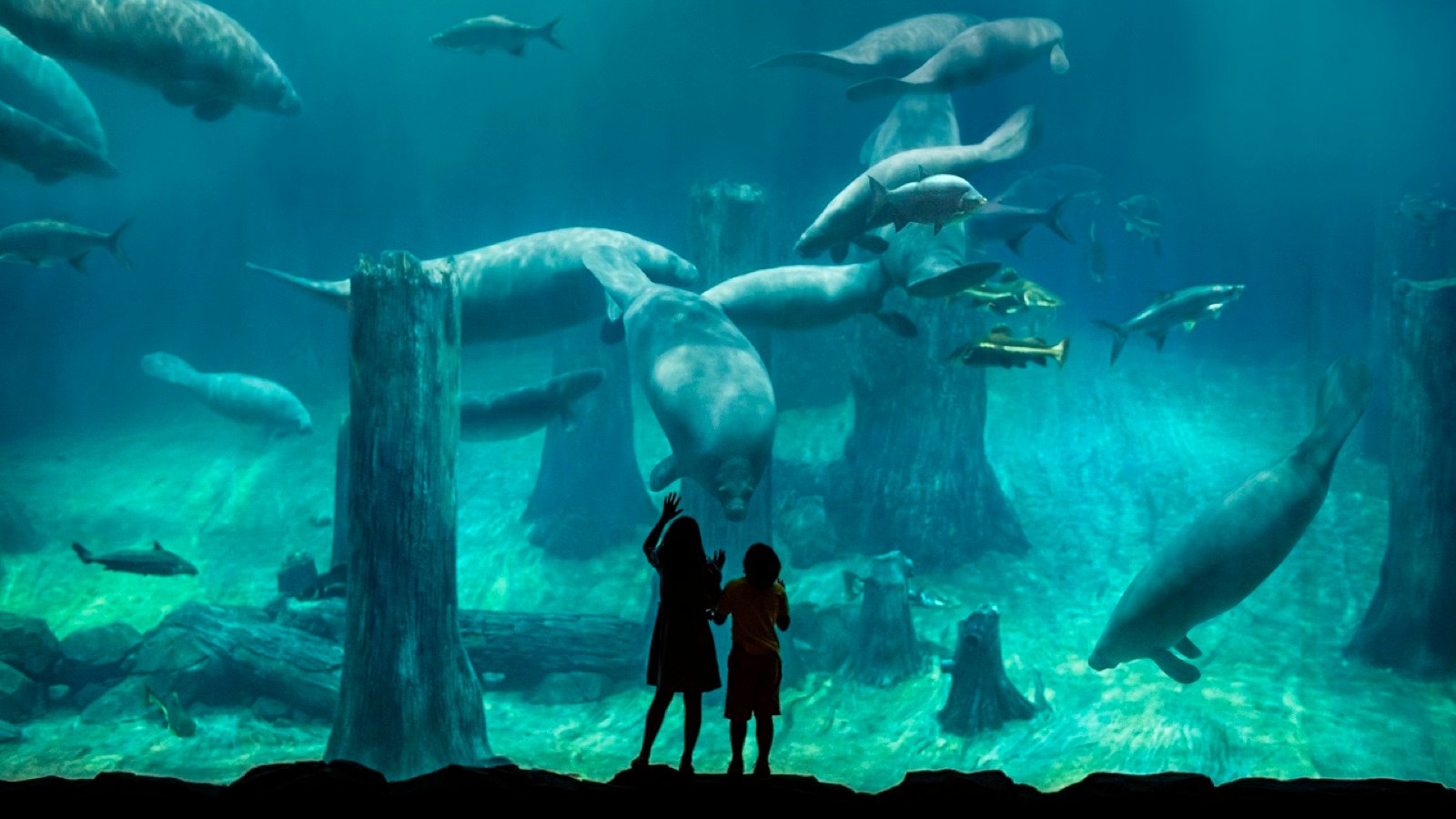 River Wonders Singapore entrance