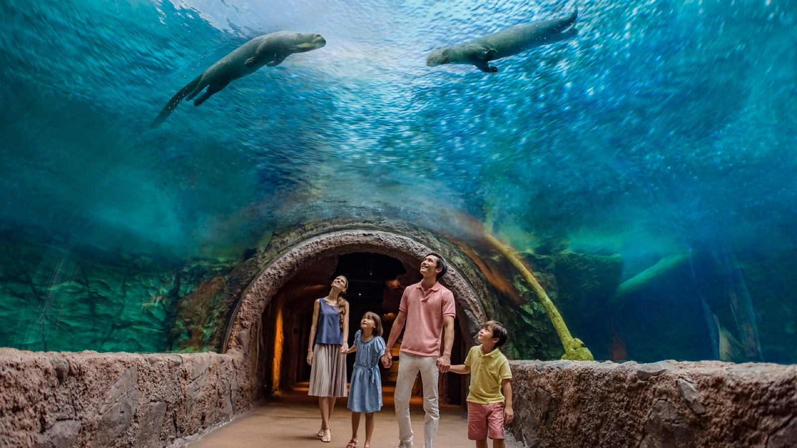 World's largest freshwater aquarium