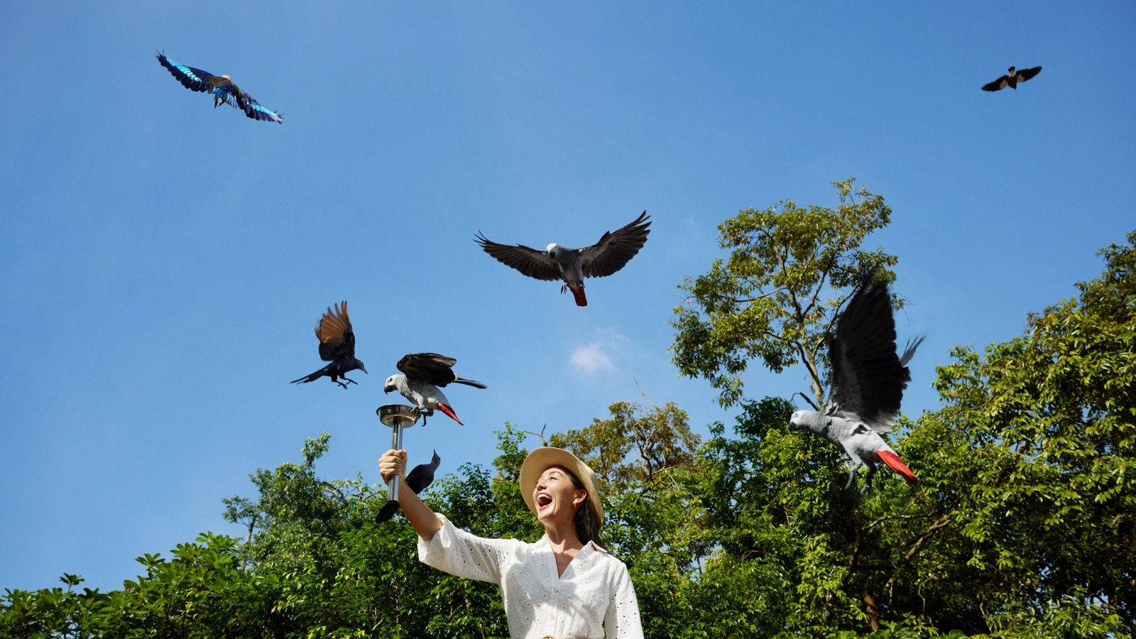 Mandai Gallery exhibit on local wildlife