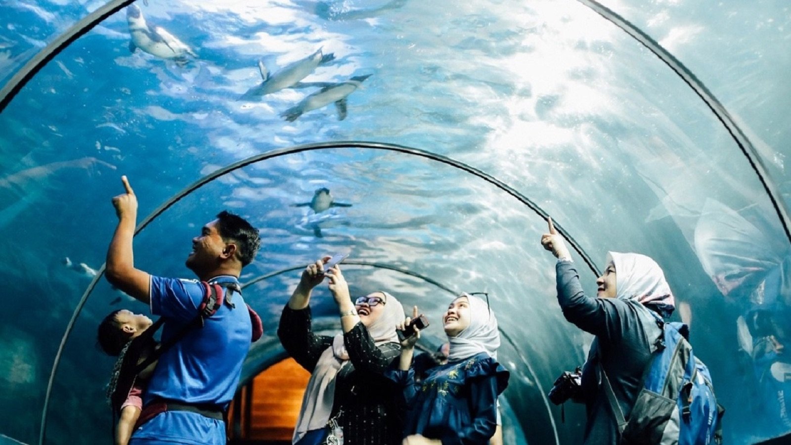 Underwater tunnel with diverse marine species