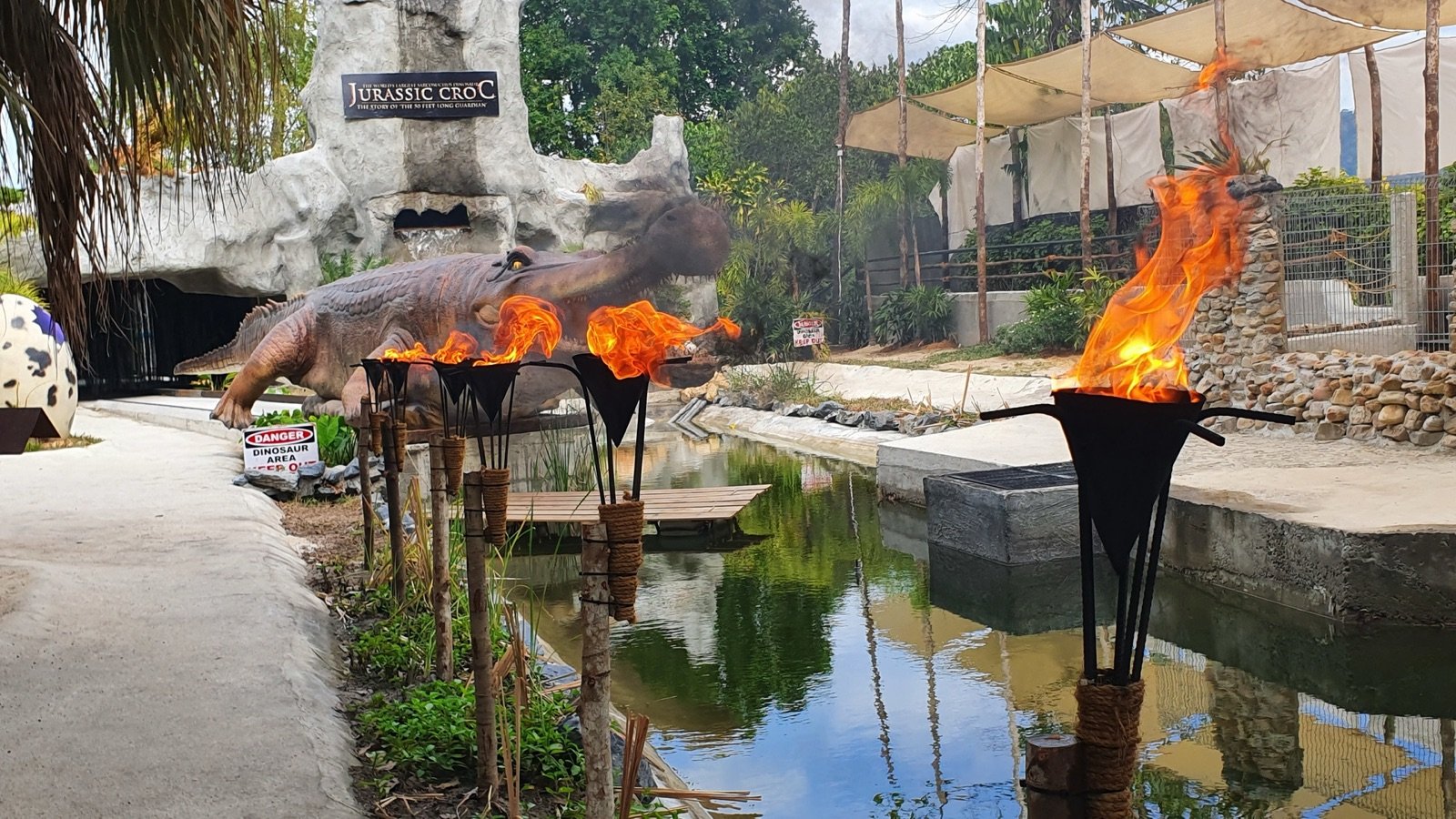 Feeding show with juvenile crocodiles