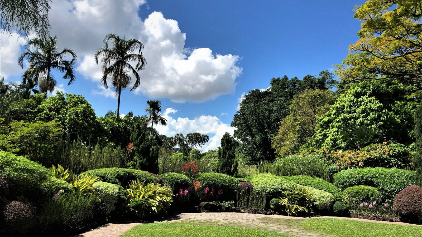 Seasonal orchid displays in the National Orchid Garden
