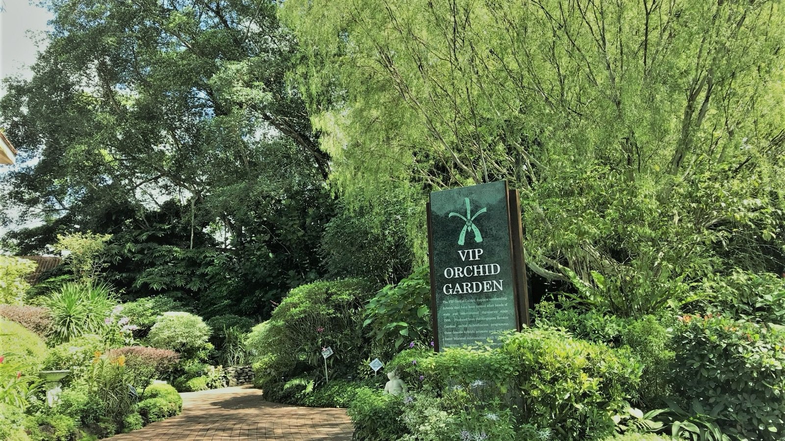 Visitor exploring the National Orchid Garden