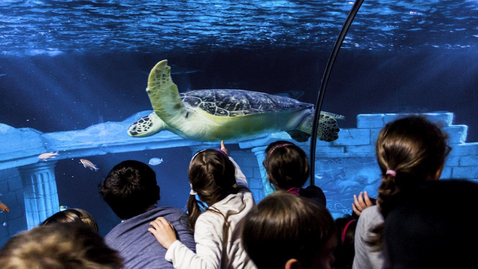 Douro River zone with interactive displays