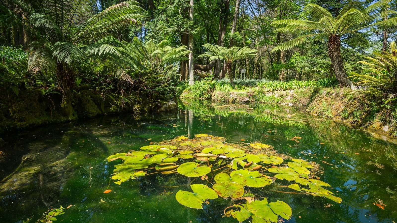 Hidden grottoes within the palace gardens
