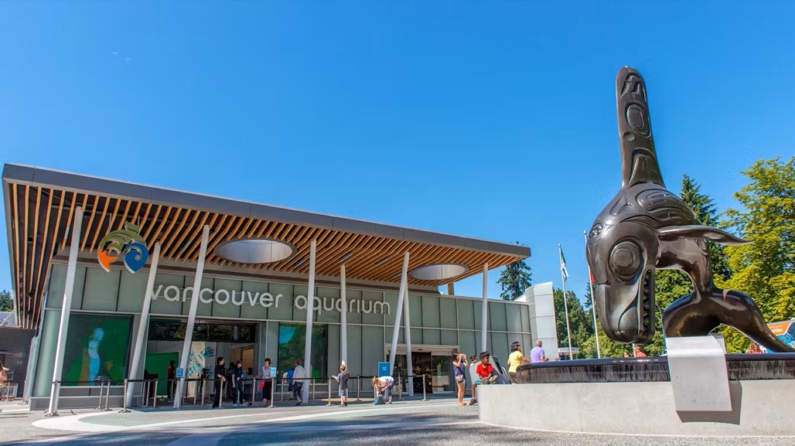Sea otters at Vancouver Aquarium