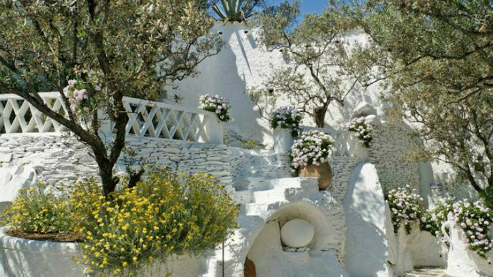 Gardens and olive grove at the museum