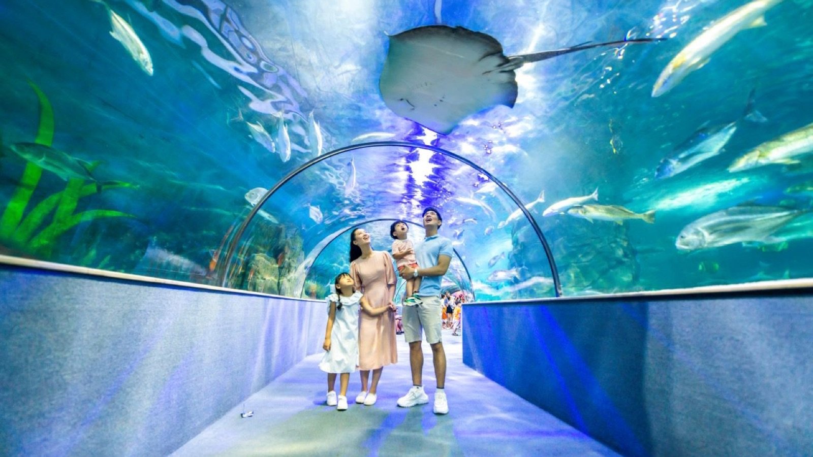 Freshwater fish exhibit
