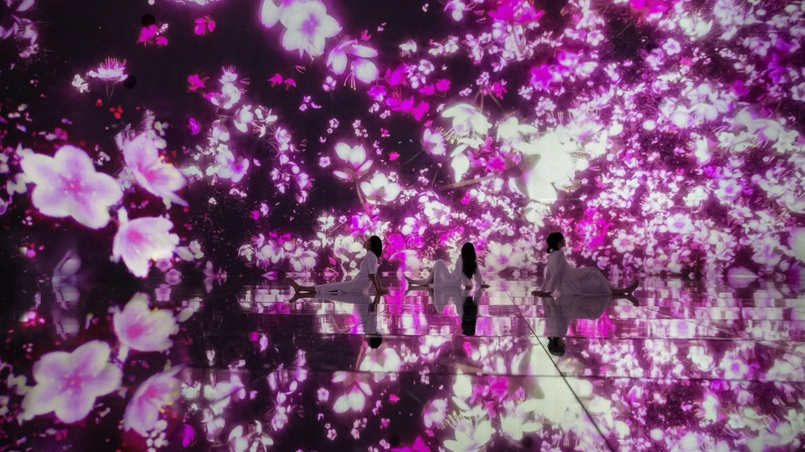 teamLab Planets TOKYO Ticket | Immersive Digital Art Experience