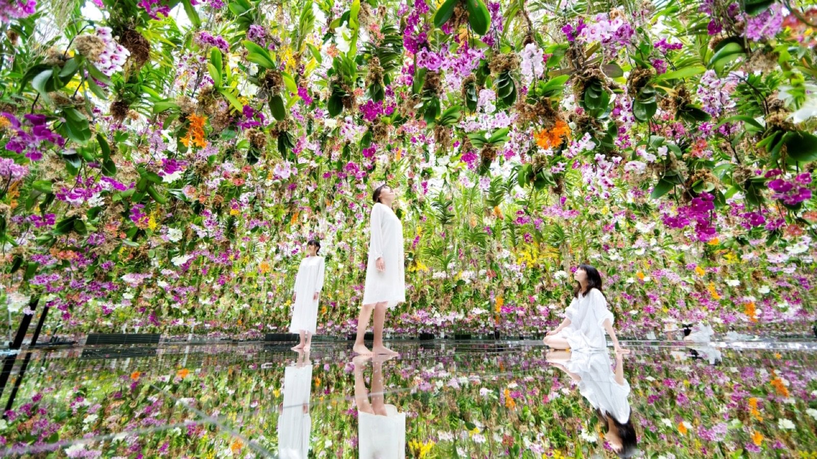 Gardens at teamLab Planets TOKYO