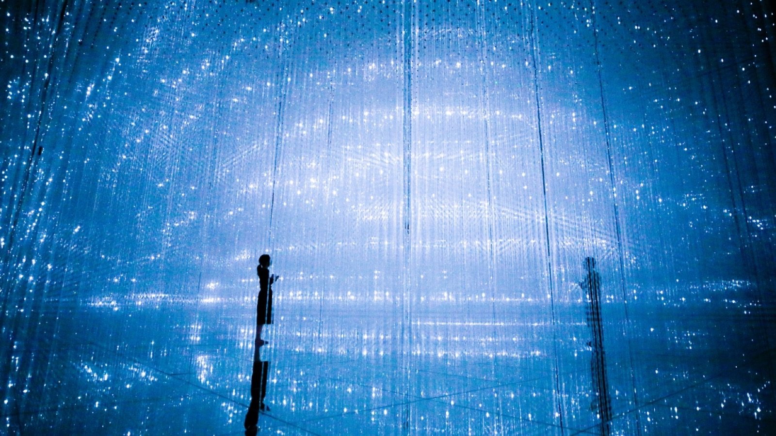 Dynamic digital artwork responding to movement