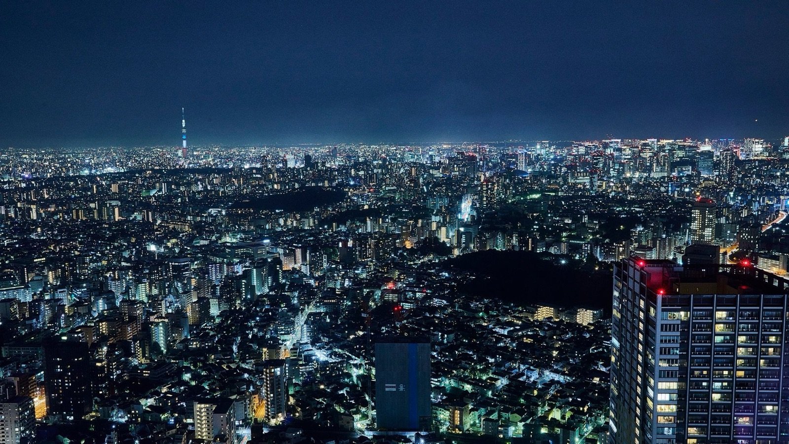 Tokyo skyline from the observatory