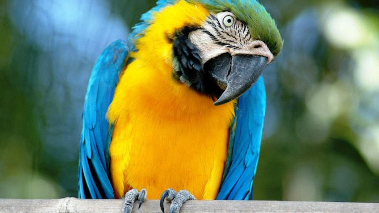 Bioparco Rome Tickets | Skip-the-line Zoo Entry