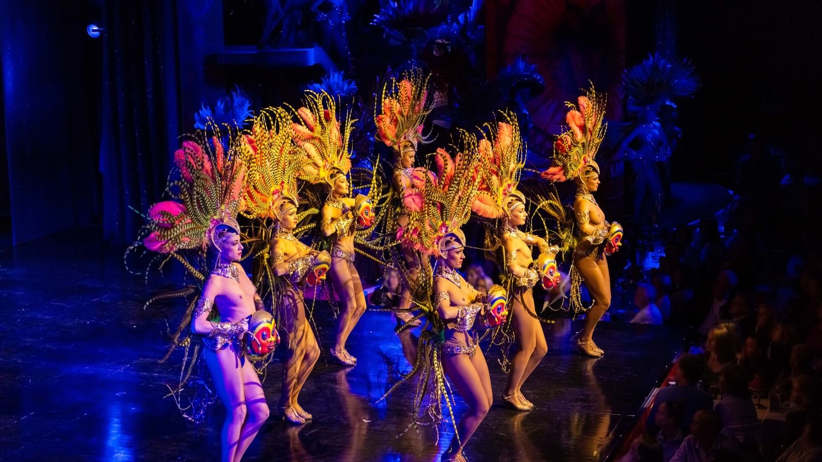Moulin Rouge Cabaret Show and Paris Bus Tour attraction