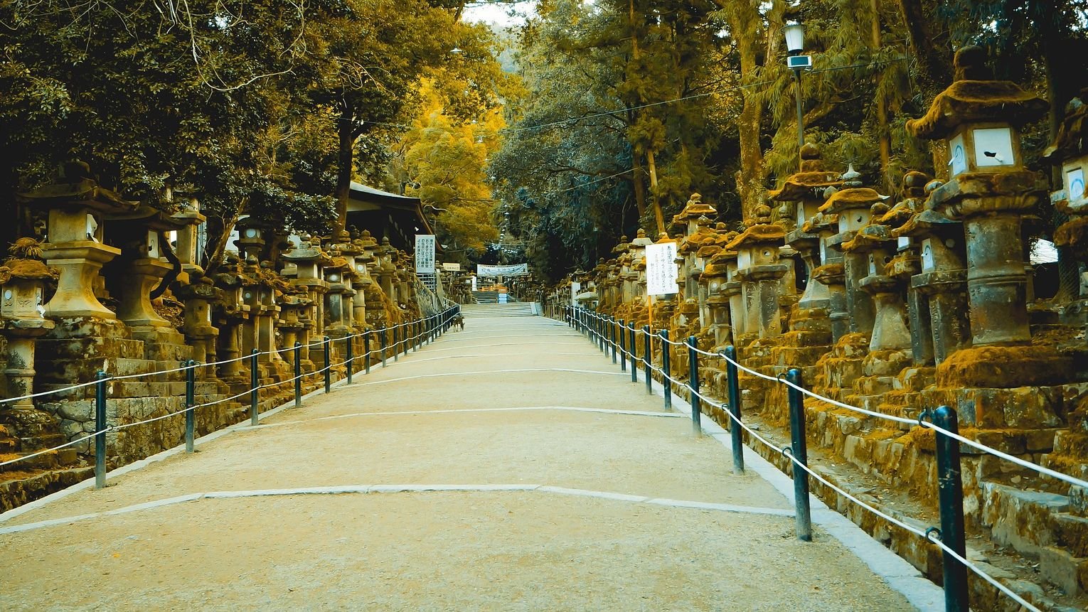 UNESCO World Heritage Site grounds at Todai-ji