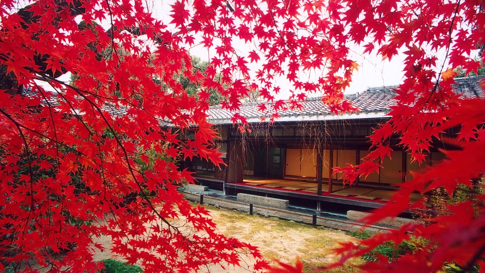 Historic ink paintings preserved at Taizo-in sub-temple