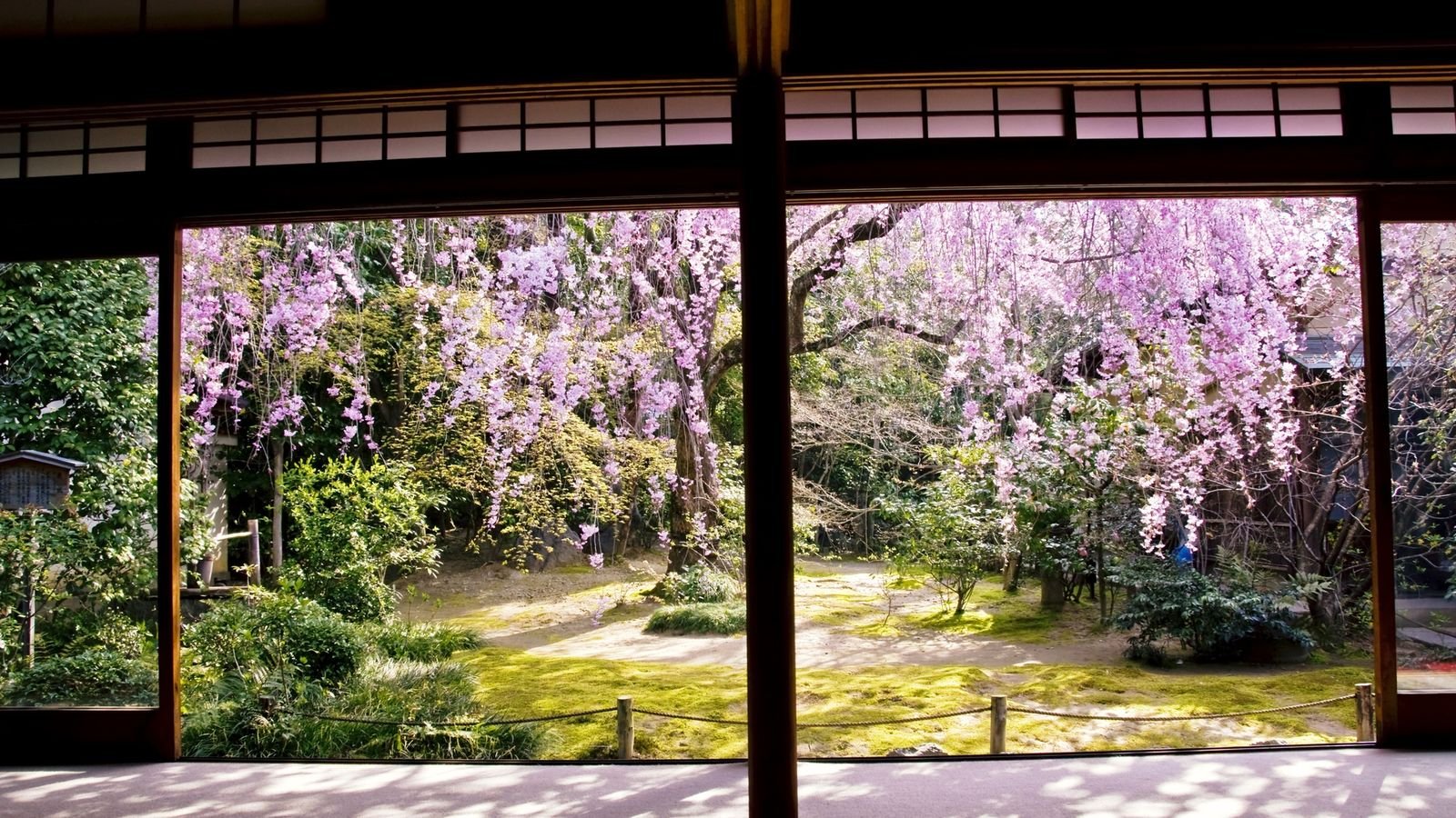 Local Japanese lunch served at Hanagokoro
