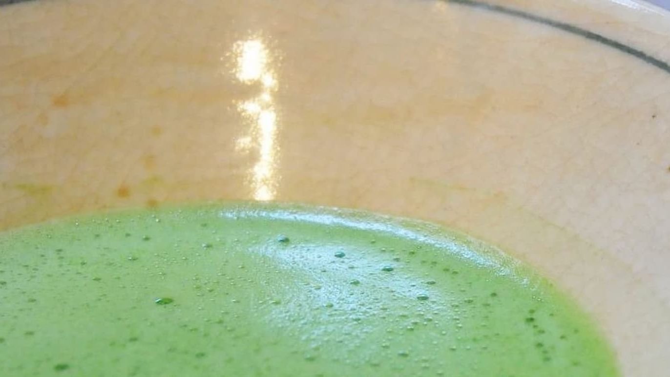 Bowl of freshly whisked matcha green tea