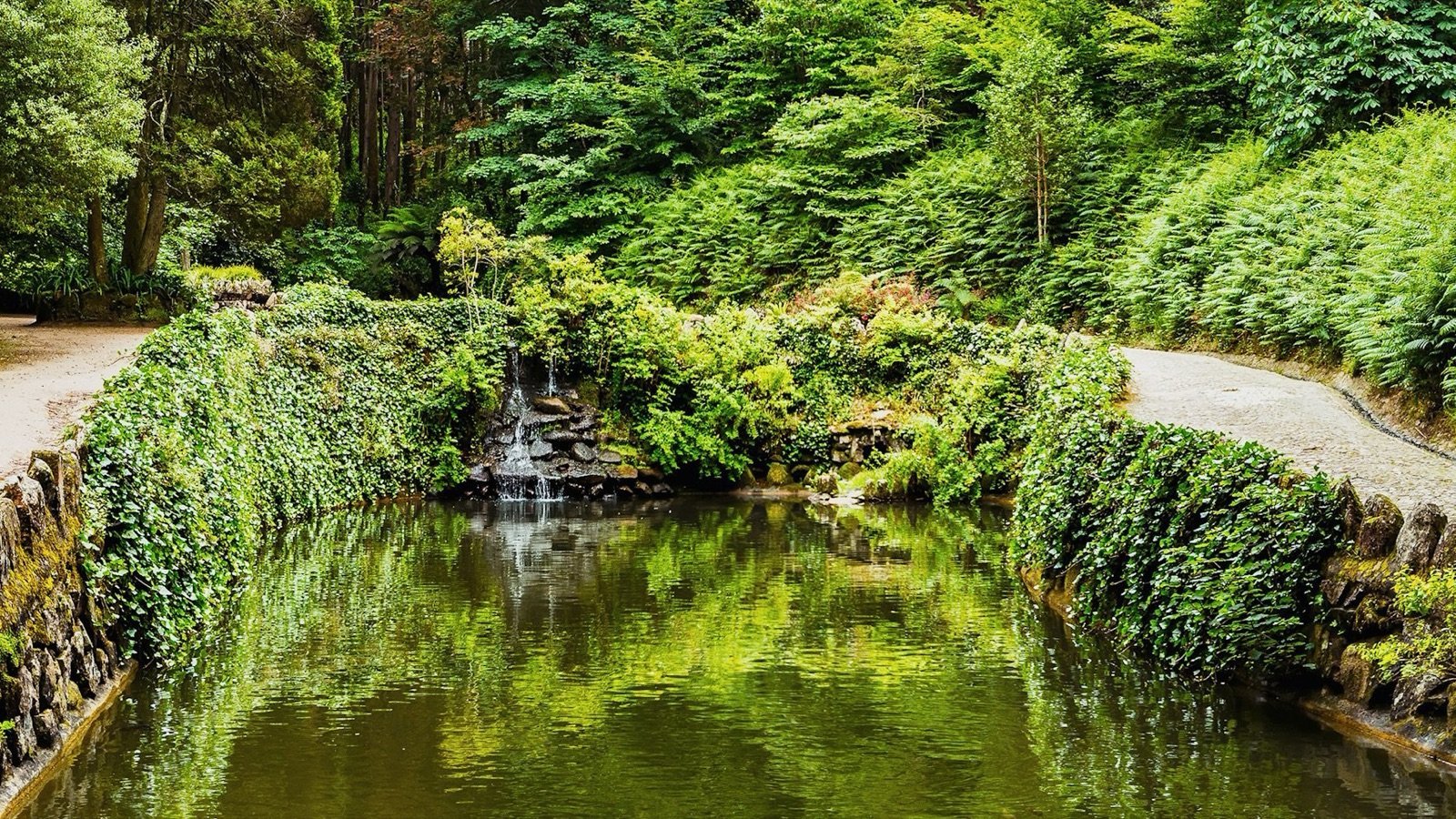 Forested trail with global plant species in Pena Park
