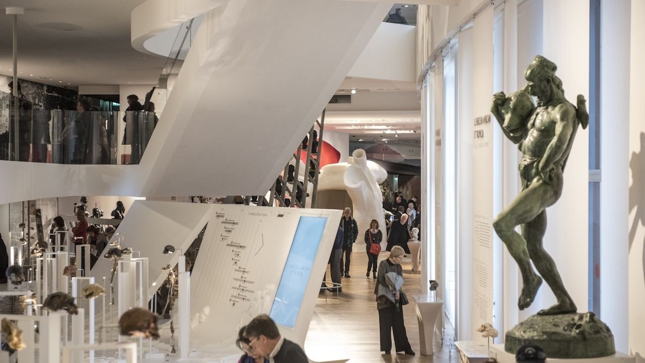 Evolutionary biology and human anatomy exhibits