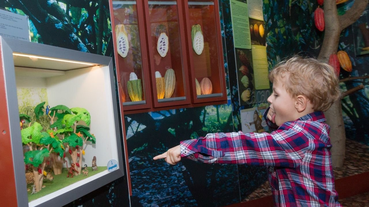 Exhibits detailing Aztec and Mayan chocolate history