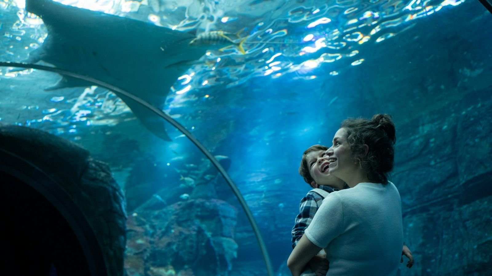 Interactive ocean life and marine conservation exhibition at Nausicaa