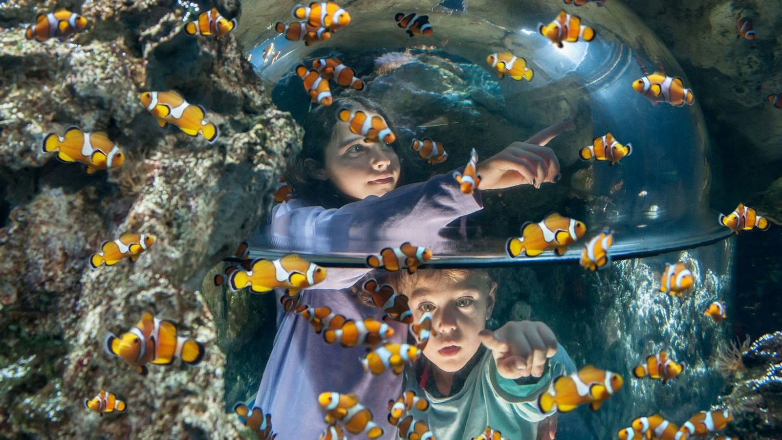 Ocean depths exhibit with colourful reef fish