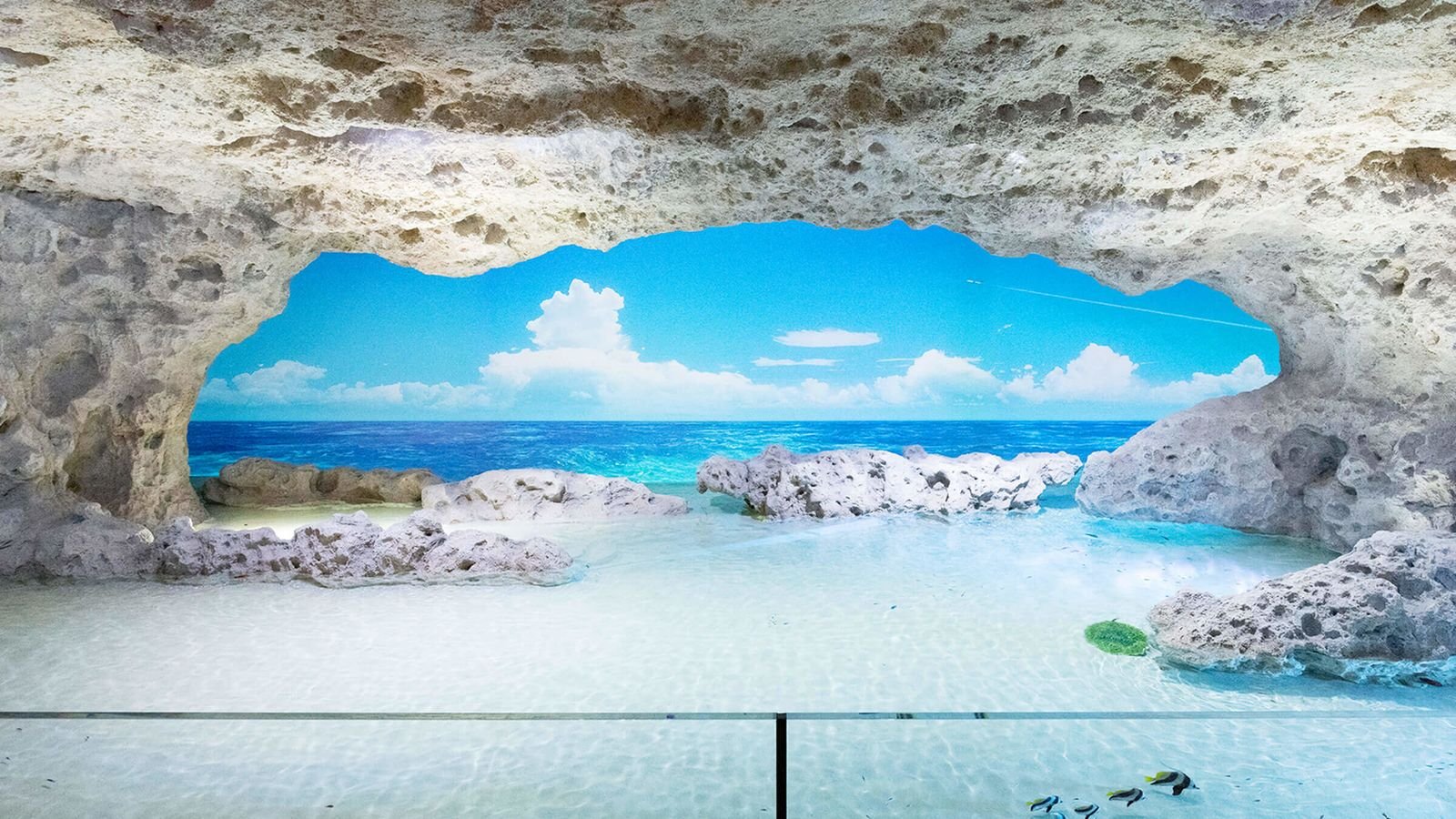 Underwater tunnel with sharks and rays swimming overhead