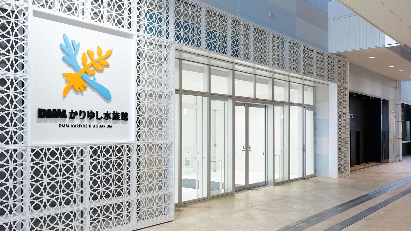 Marine life exhibit showcasing sea turtles and tropical fish