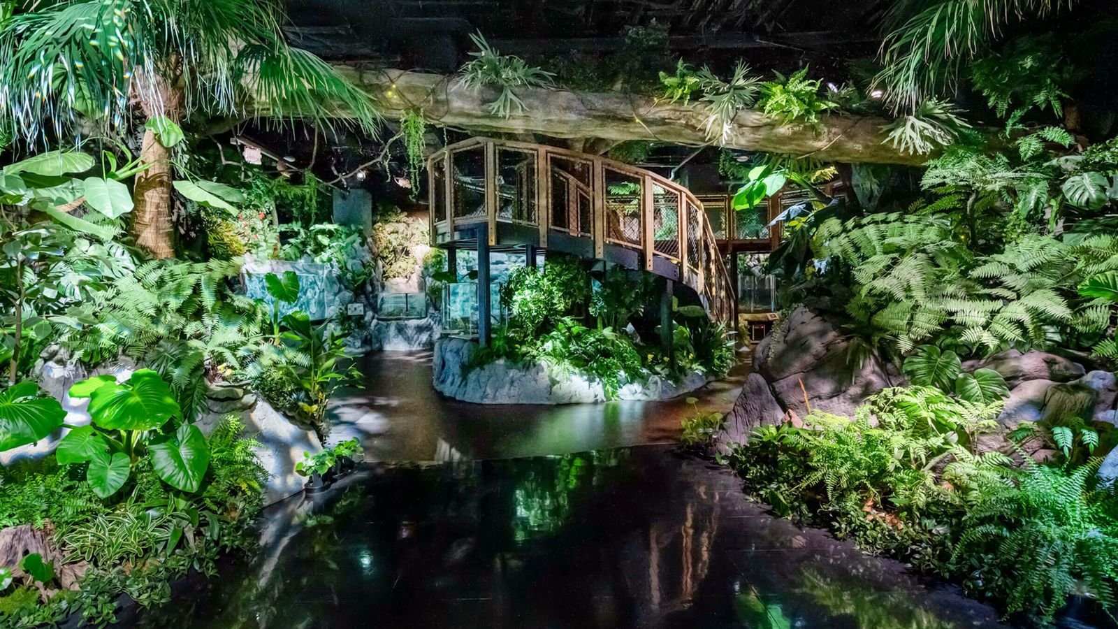 Visitors watching tropical fish exhibits at DMM Kariyushi Aquarium