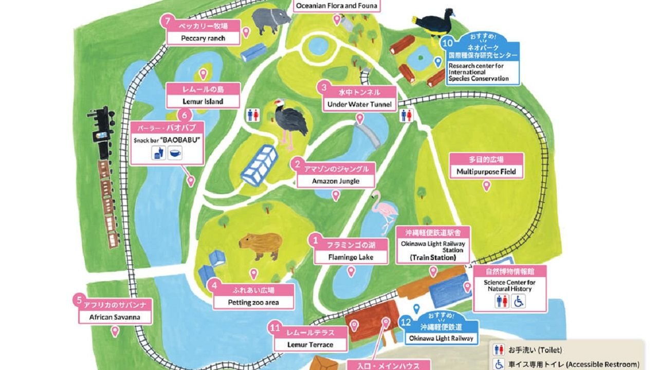 Free-roaming animals in the Amazon tropical zone at Neo Park Okinawa