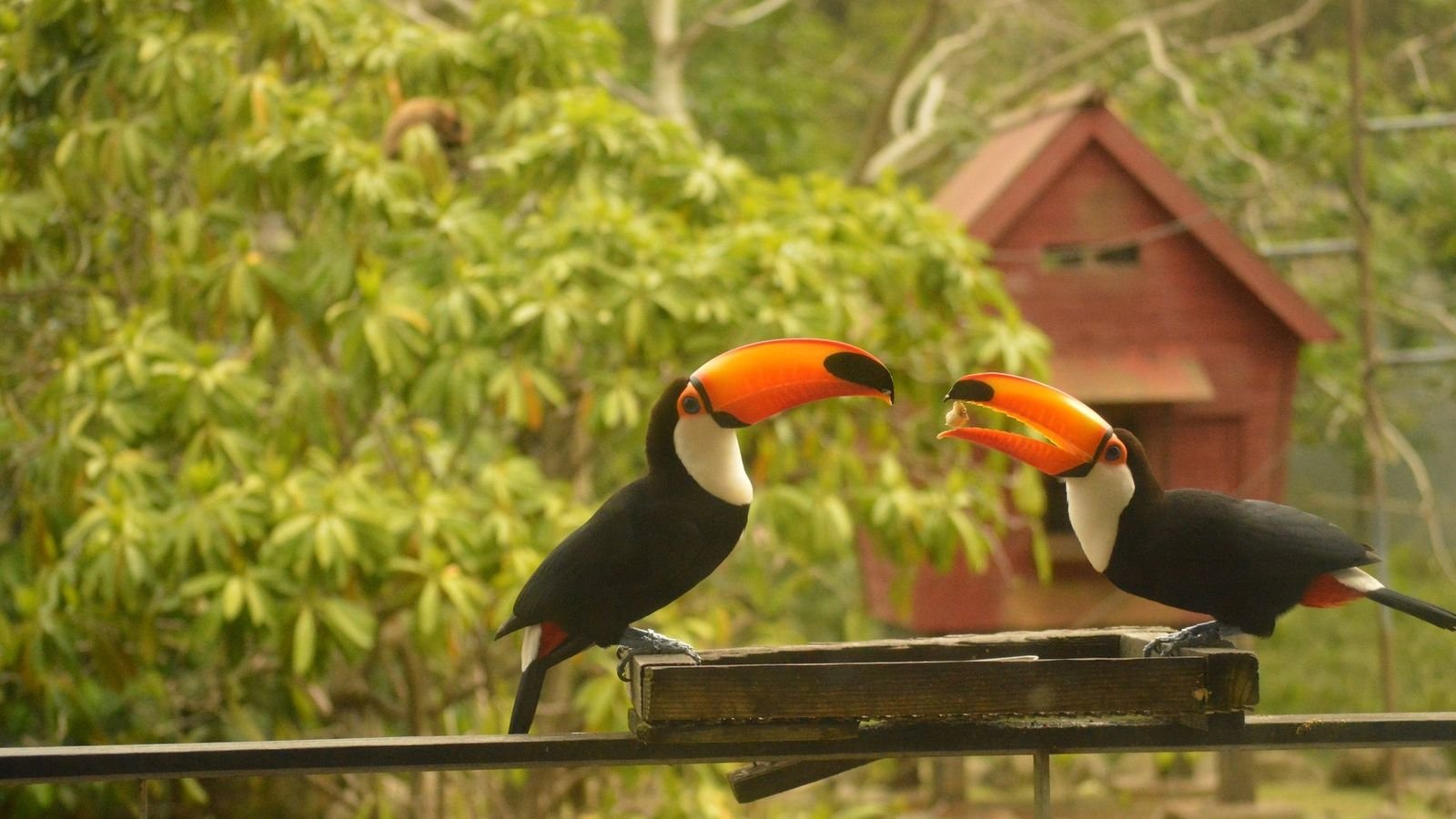 Oceania zone animal exhibits without barriers