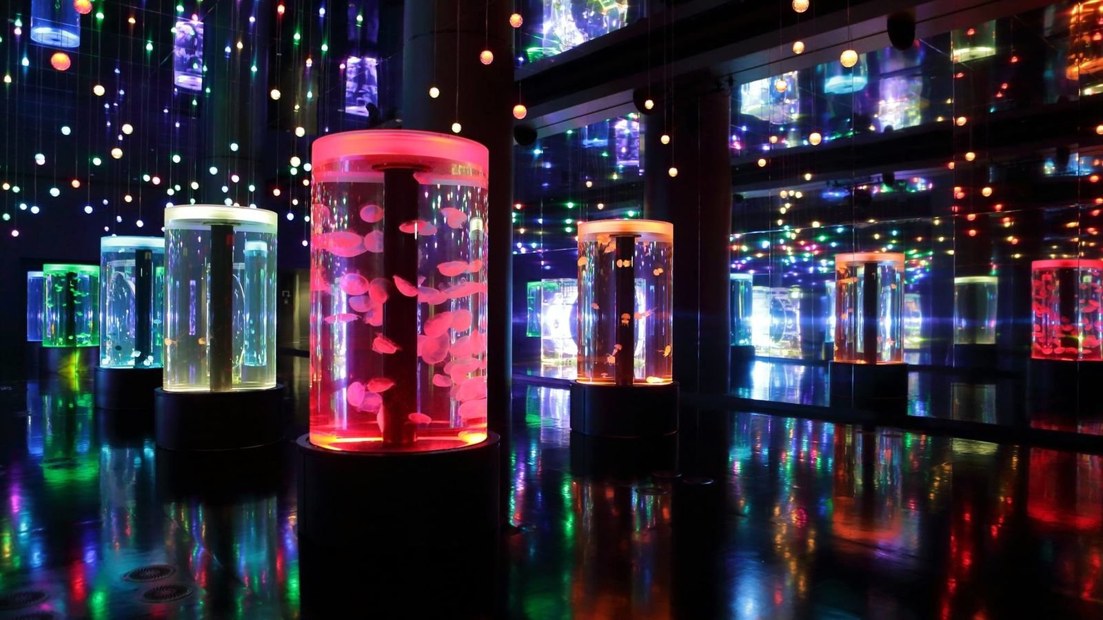 Aqua Jungle exhibit with indoor plant displays at Maxell Aqua Park Shinagawa