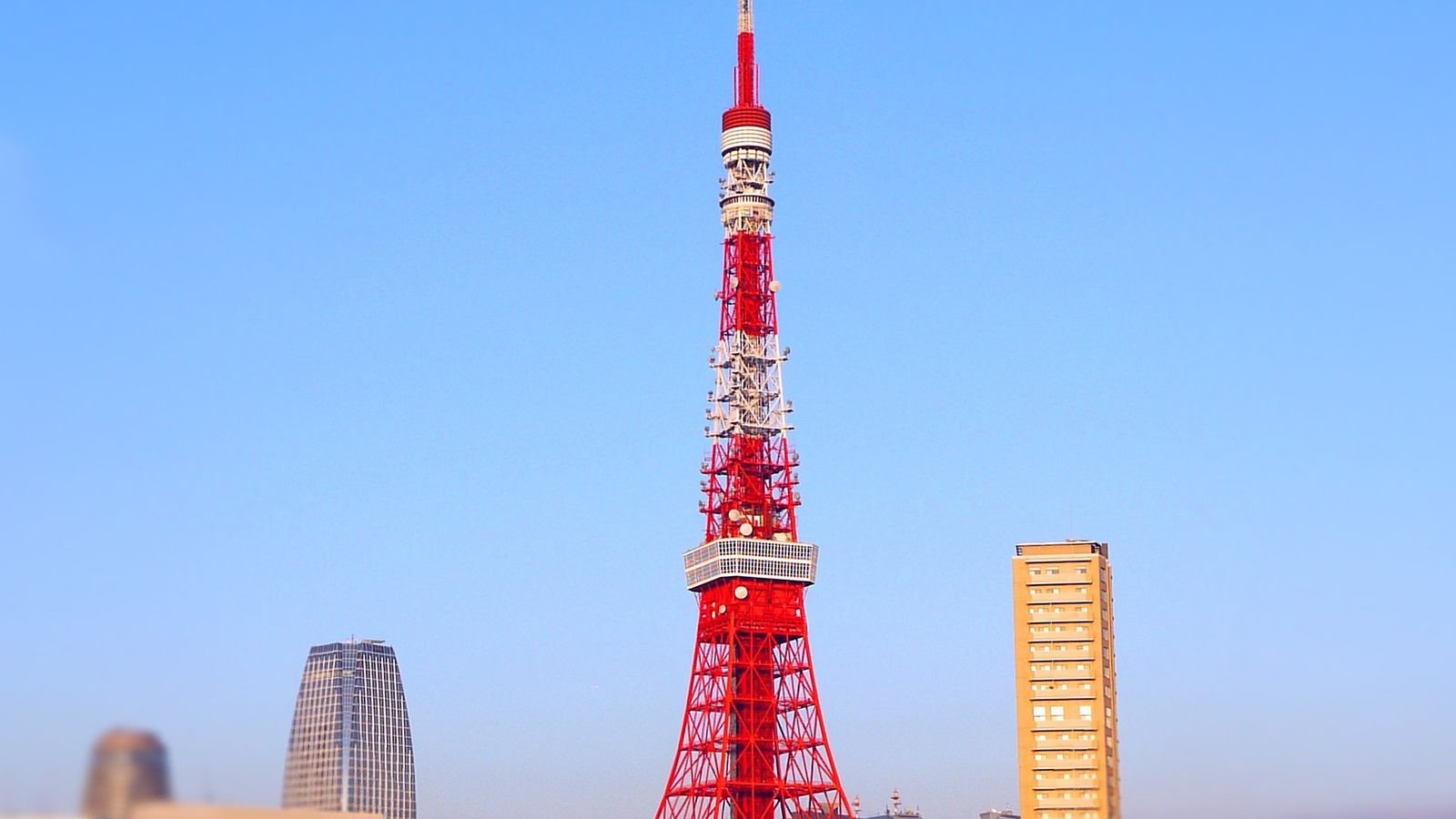 Panoramic city skyline view from the 150-metre Tokyo Tower main deck