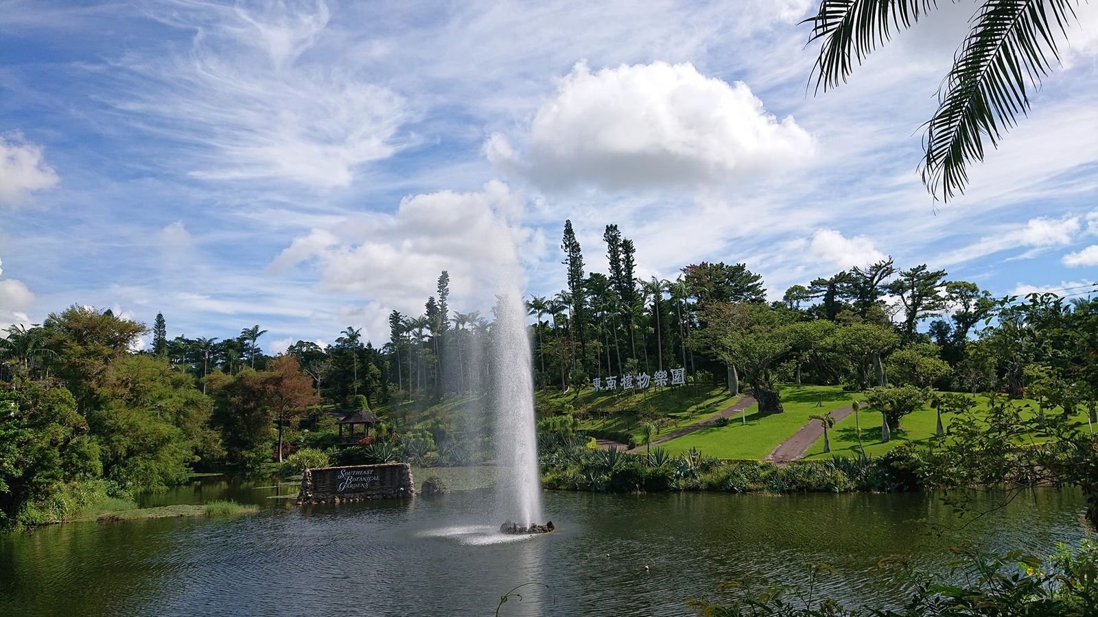 Lotus spreading across the water gardens at Southeast Botanical Gardens