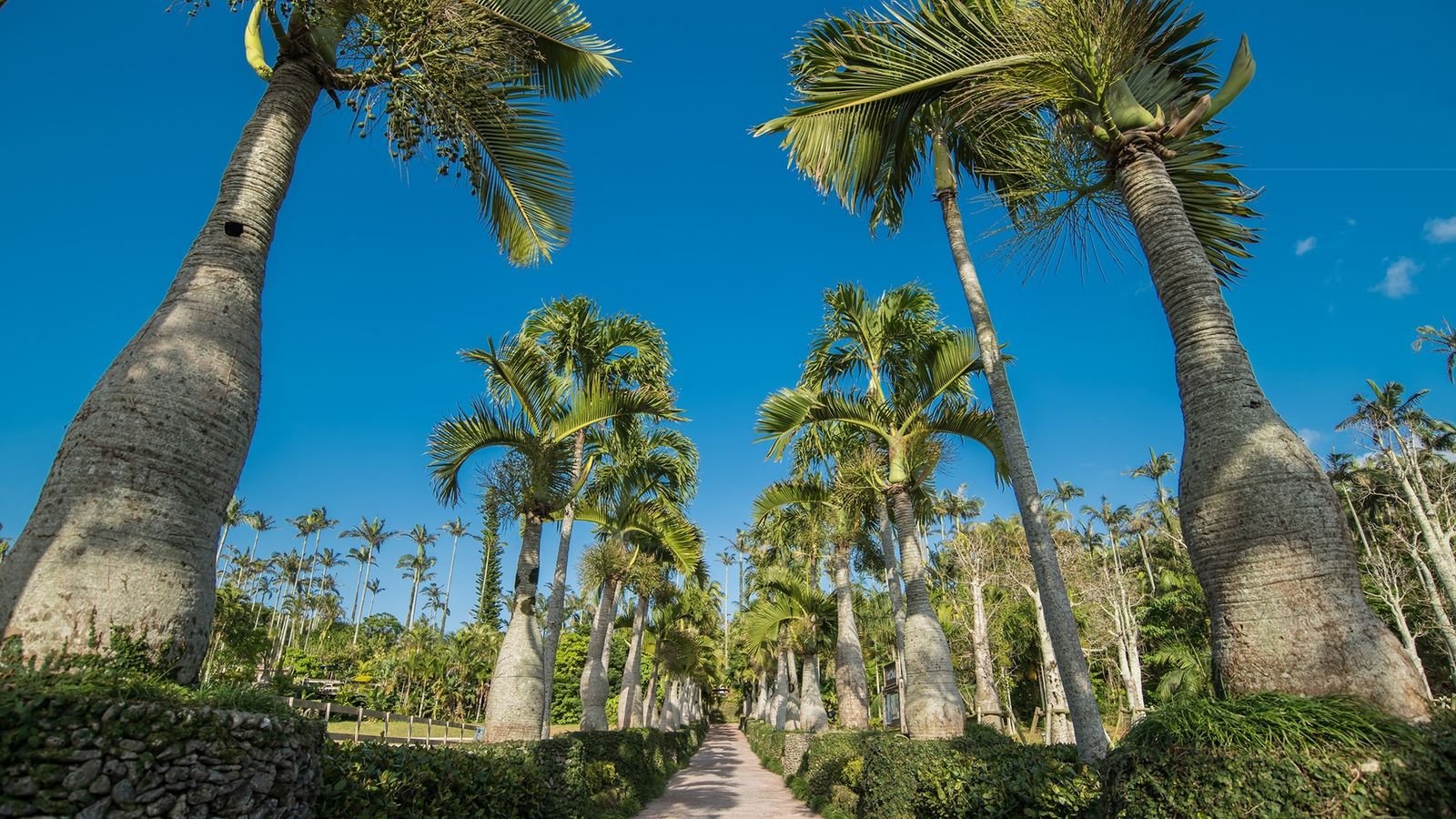 Herb garden and outdoor botanical displays in Okinawa Japan